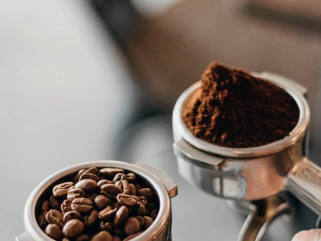 Echemo - Tim Wendelboe